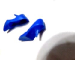 ROYAL BLUE HEELS VIEW